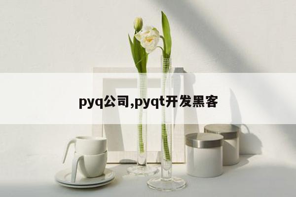 pyq公司,pyqt开发黑客