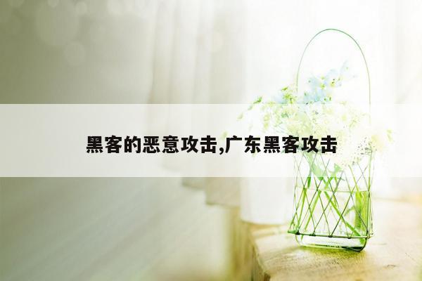 黑客的恶意攻击,广东黑客攻击