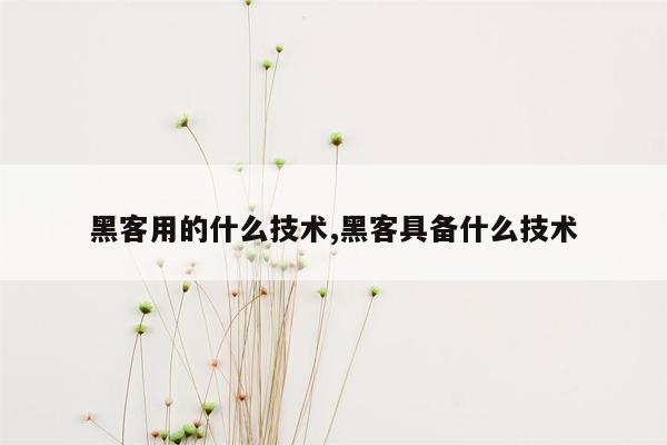 黑客用的什么技术,黑客具备什么技术