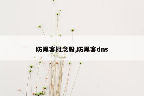 防黑客概念股,防黑客dns