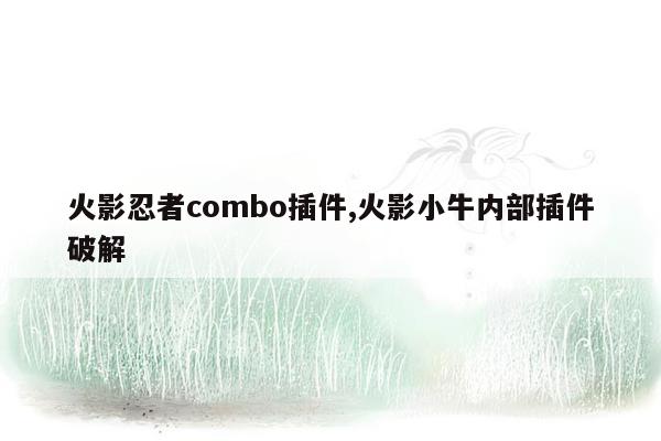 火影忍者combo插件,火影小牛内部插件破解