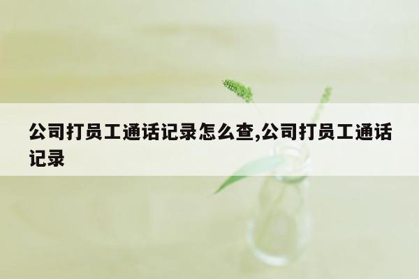 公司打员工通话记录怎么查,公司打员工通话记录