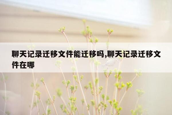 聊天记录迁移文件能迁移吗,聊天记录迁移文件在哪