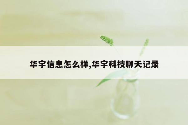 华宇信息怎么样,华宇科技聊天记录