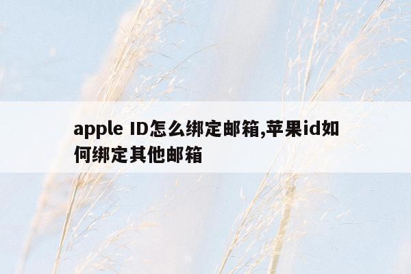 apple ID怎么绑定邮箱,苹果id如何绑定其他邮箱