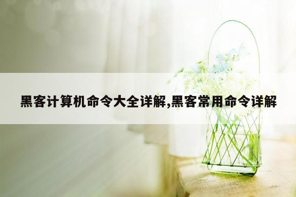 黑客计算机命令大全详解,黑客常用命令详解