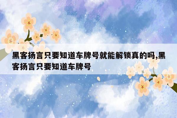 黑客扬言只要知道车牌号就能解锁真的吗,黑客扬言只要知道车牌号