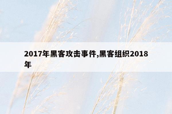 2017年黑客攻击事件,黑客组织2018年