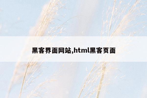 黑客界面网站,html黑客页面