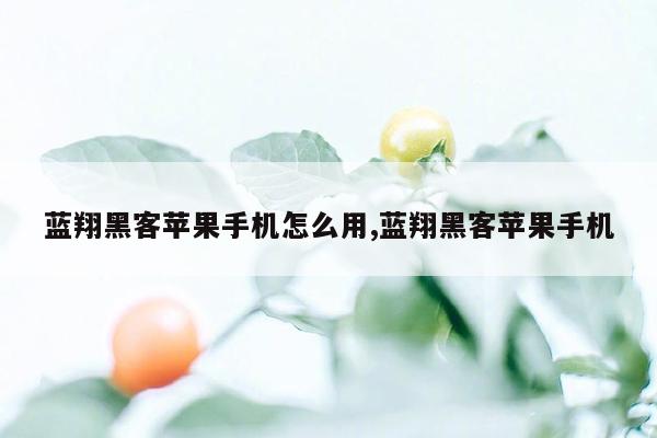 蓝翔黑客苹果手机怎么用,蓝翔黑客苹果手机