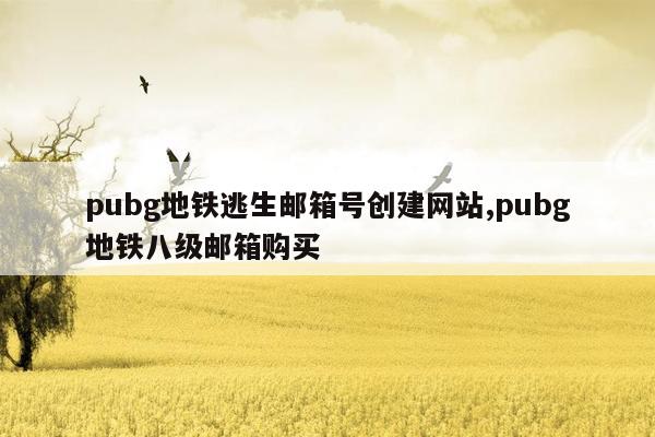 pubg地铁逃生邮箱号创建网站,pubg地铁八级邮箱购买