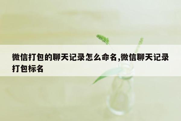 微信打包的聊天记录怎么命名,微信聊天记录打包标名