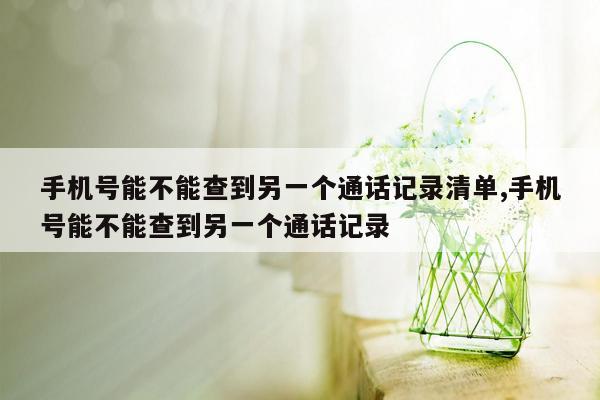 手机号能不能查到另一个通话记录清单,手机号能不能查到另一个通话记录