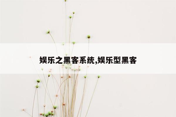 娱乐之黑客系统,娱乐型黑客