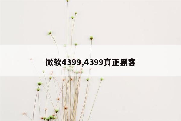 微软4399,4399真正黑客