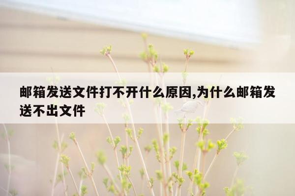 邮箱发送文件打不开什么原因,为什么邮箱发送不出文件