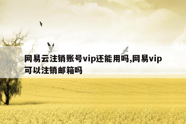 网易云注销账号vip还能用吗,网易vip可以注销邮箱吗