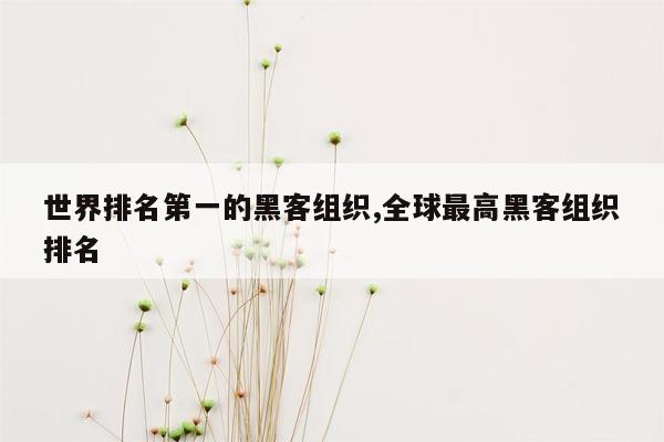 世界排名第一的黑客组织,全球最高黑客组织排名