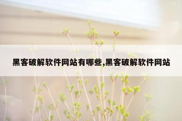 黑客破解软件网站有哪些,黑客破解软件网站