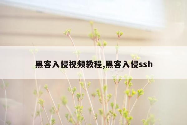 黑客入侵视频教程,黑客入侵ssh