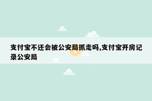 支付宝不还会被公安局抓走吗,支付宝开房记录公安局