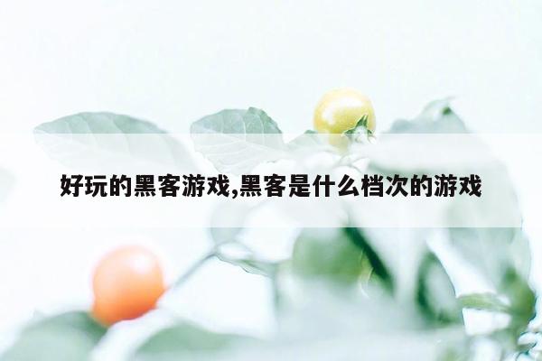 好玩的黑客游戏,黑客是什么档次的游戏