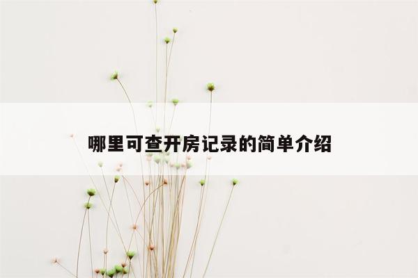 哪里可查开房记录的简单介绍