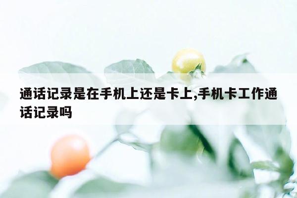 通话记录是在手机上还是卡上,手机卡工作通话记录吗