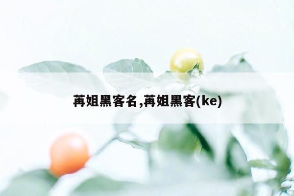 苒姐黑客名,苒姐黑客(ke)