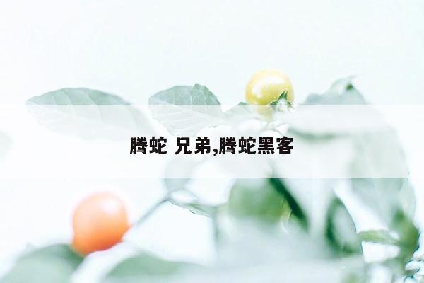 腾蛇 兄弟,腾蛇黑客