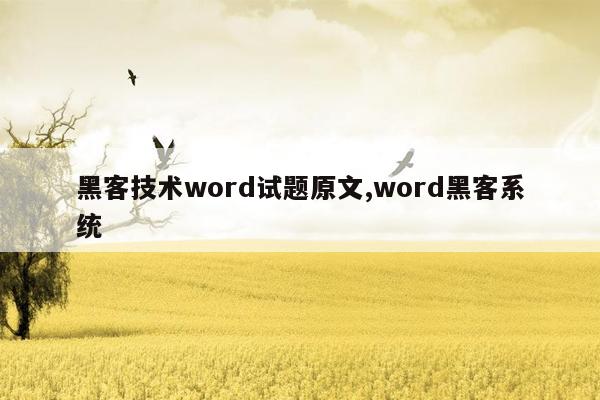 黑客技术word试题原文,word黑客系统