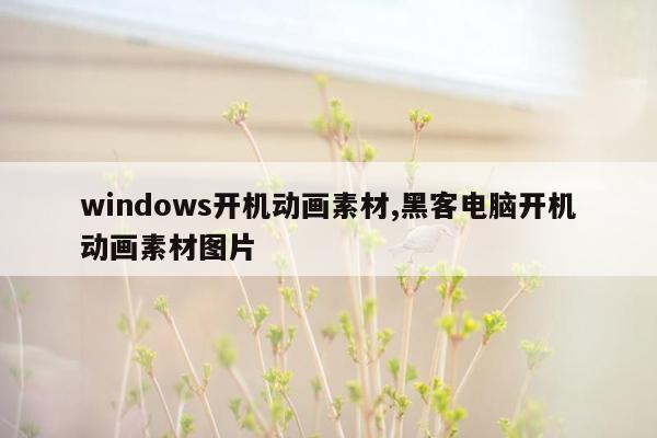 windows开机动画素材,黑客电脑开机动画素材图片