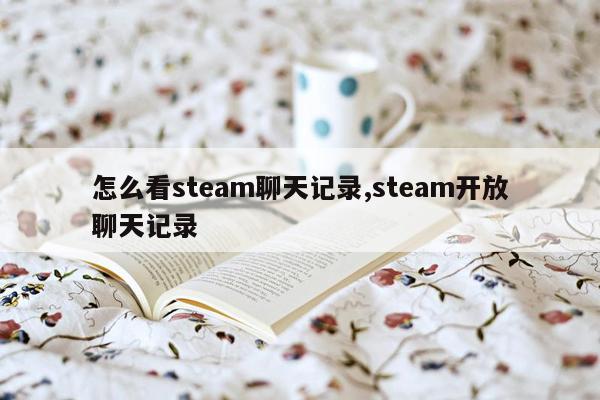 怎么看steam聊天记录,steam开放聊天记录