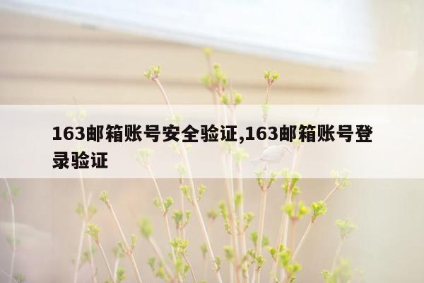 163邮箱账号安全验证,163邮箱账号登录验证