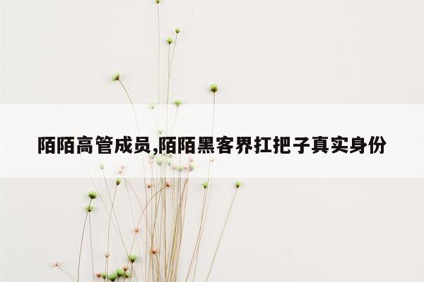 陌陌高管成员,陌陌黑客界扛把子真实身份