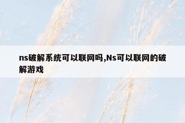 ns破解系统可以联网吗,Ns可以联网的破解游戏