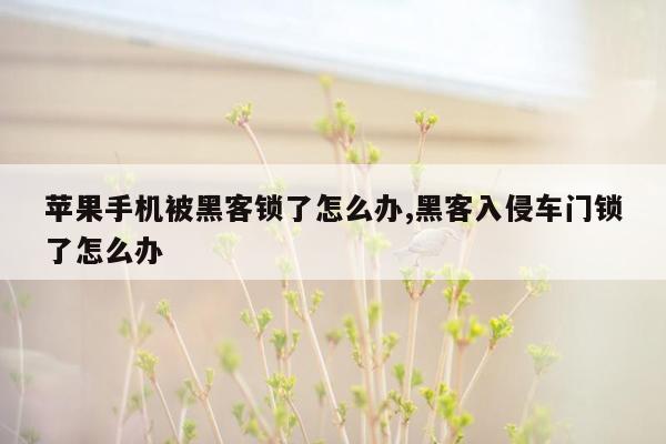 苹果手机被黑客锁了怎么办,黑客入侵车门锁了怎么办