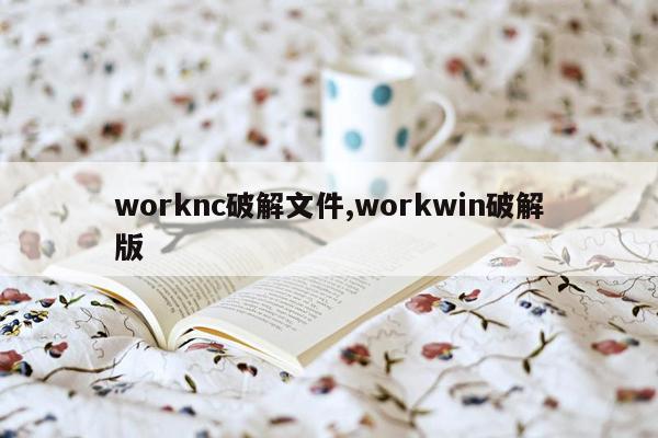 worknc破解文件,workwin破解版