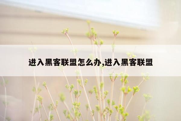 进入黑客联盟怎么办,进入黑客联盟