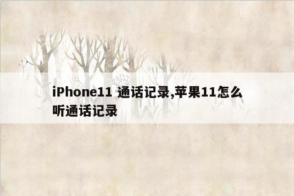 iPhone11 通话记录,苹果11怎么听通话记录