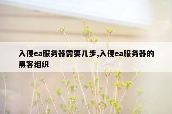 入侵ea服务器需要几步,入侵ea服务器的黑客组织