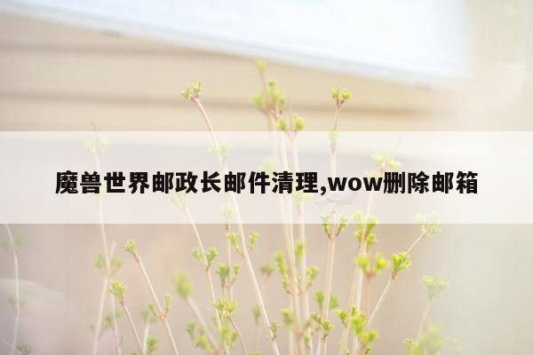 魔兽世界邮政长邮件清理,wow删除邮箱