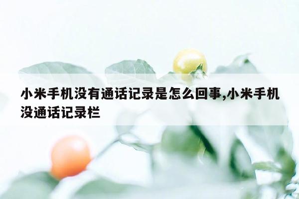 小米手机没有通话记录是怎么回事,小米手机没通话记录栏