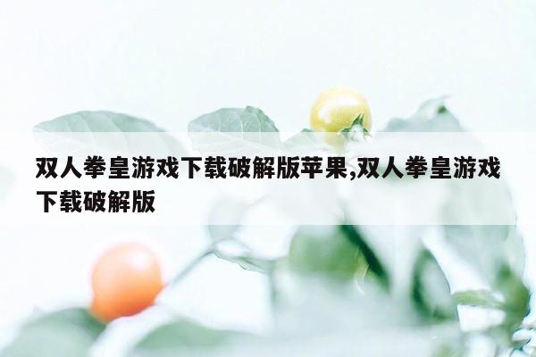 双人拳皇游戏下载破解版苹果,双人拳皇游戏下载破解版