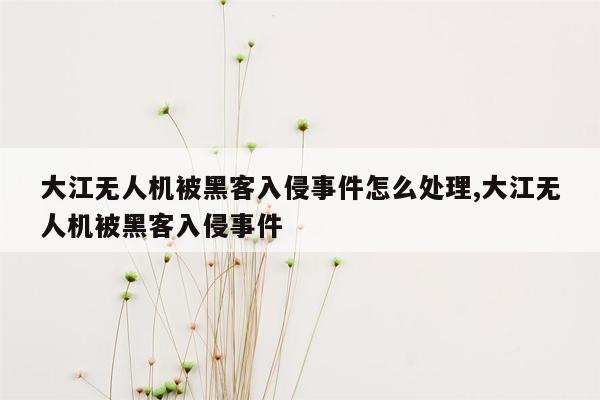 大江无人机被黑客入侵事件怎么处理,大江无人机被黑客入侵事件