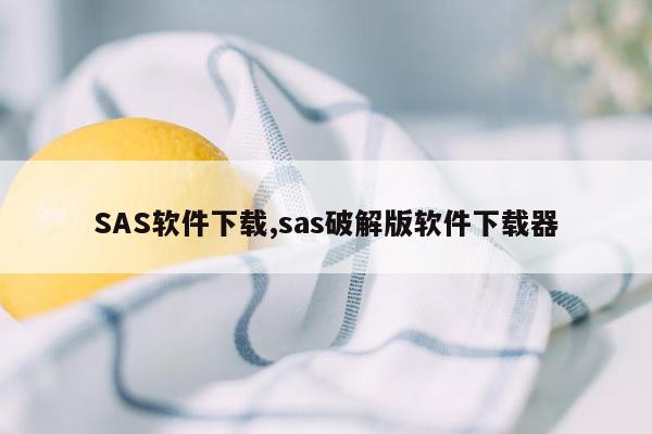 SAS软件下载,sas破解版软件下载器