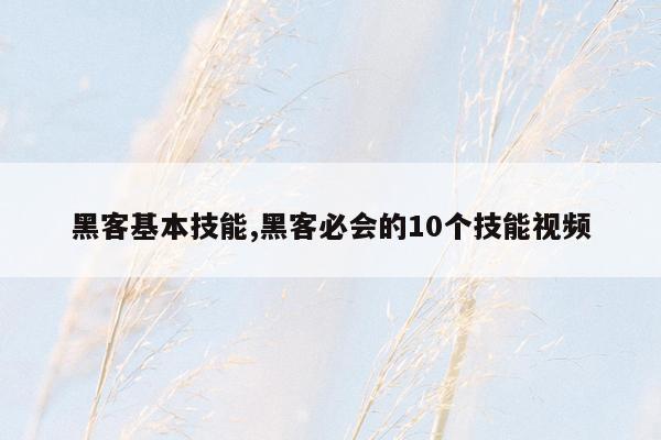 黑客基本技能,黑客必会的10个技能视频