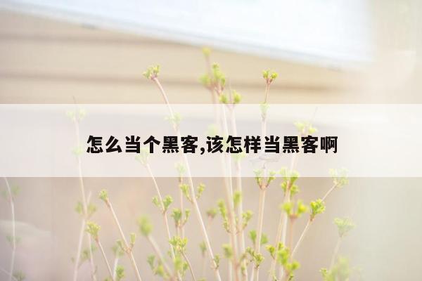 怎么当个黑客,该怎样当黑客啊