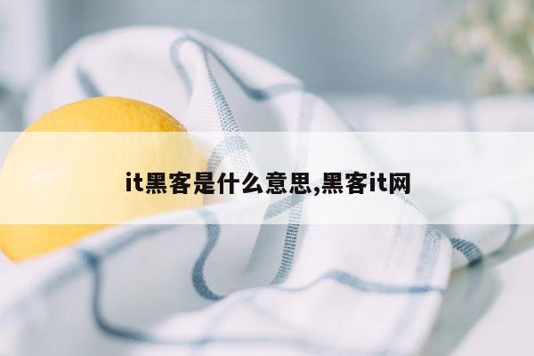 it黑客是什么意思,黑客it网