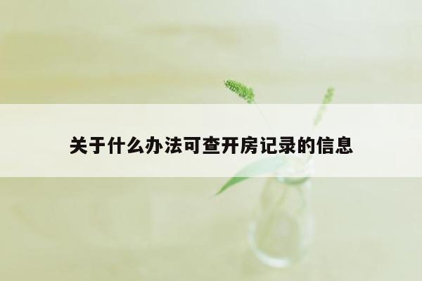 关于什么办法可查开房记录的信息